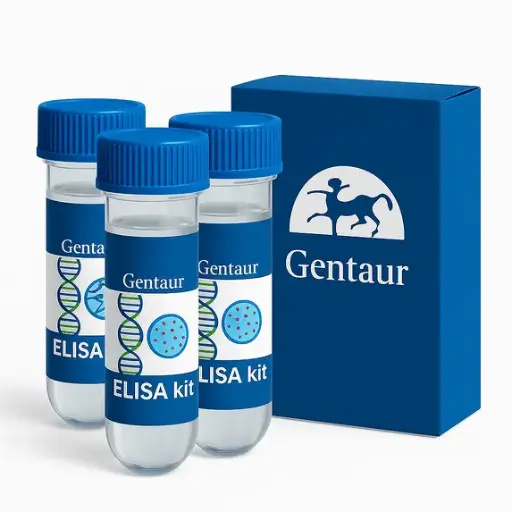 [BE69083] VEGFR2 ELISA - 96 Determinations